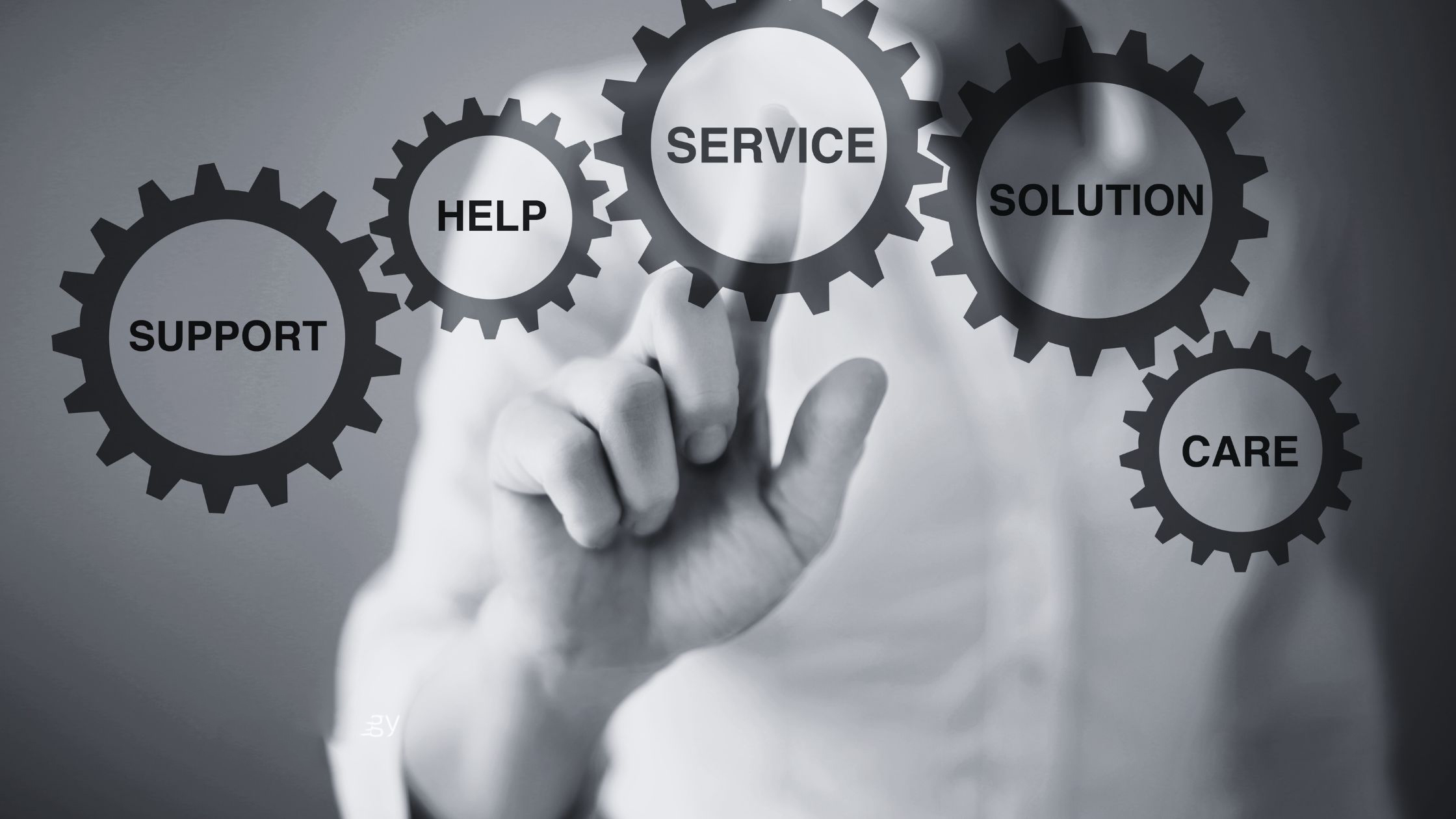 Technical maintenance and support services for BarNeural clients
